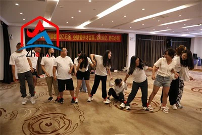 High Coefficient Ntawm Thermal Expansion Silicon Metal Powder