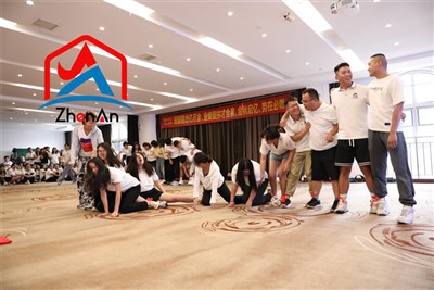 Magnesium Alloy Ingot Rau Advanced Industrial Applications