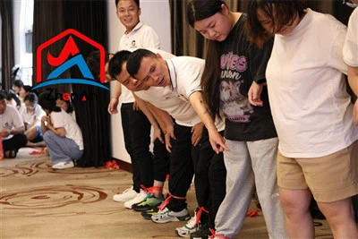 Resistor Silicon hlau hmoov