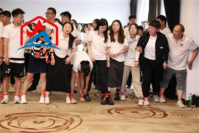 Silicon hlau hmoov hauv lwm cov hlau